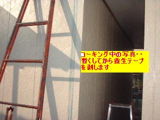 f0031037_19595187.jpg