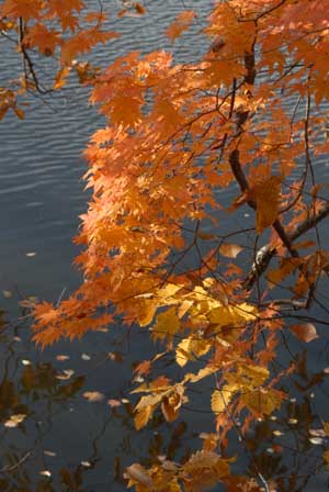 f0020352_1912363.jpg
