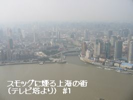 a0052666_029219.jpg