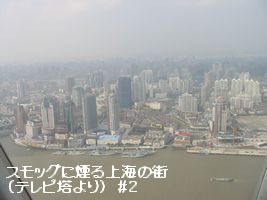 a0052666_0335965.jpg