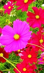 c0078480_18261767.jpg