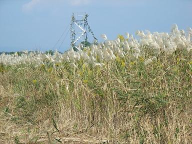 b0095981_916210.jpg