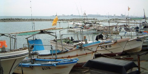 魚住漁港で_d0076283_0262445.jpg