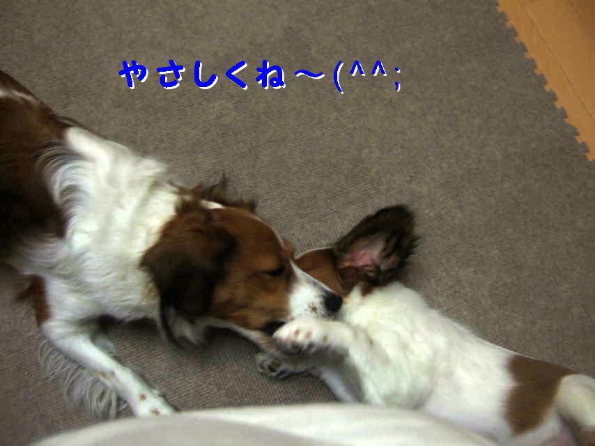 c0075585_13821100.jpg