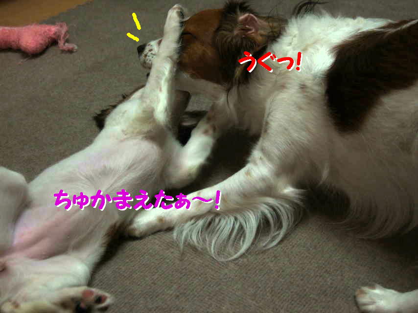 c0075585_1404988.jpg