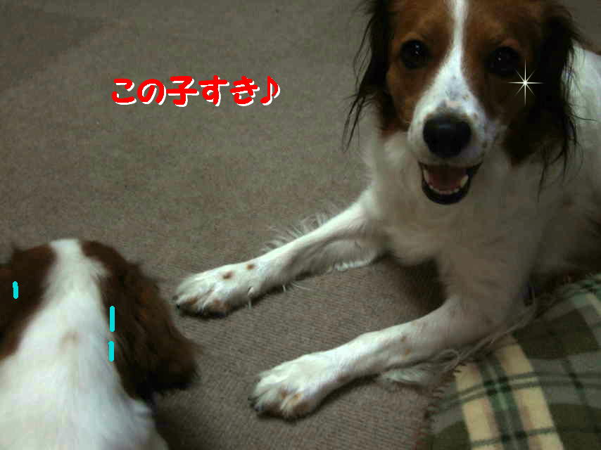 c0075585_142183.jpg