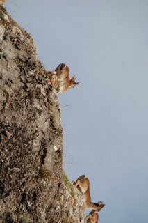 セグラ　Segura　ｄｅ　la Sierra 　安全な街_e0061699_7564722.jpg