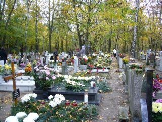 e0039206_148512.jpg