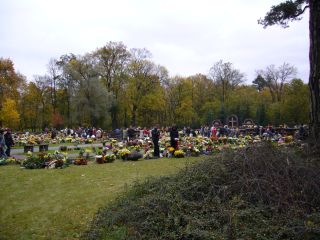 e0039206_1503476.jpg
