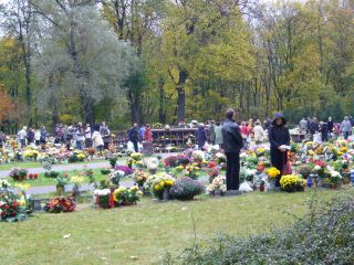 e0039206_1511476.jpg
