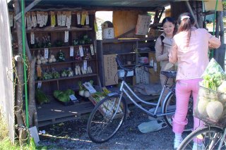 旧坂井村の無人販売所_a0003909_9343072.jpg