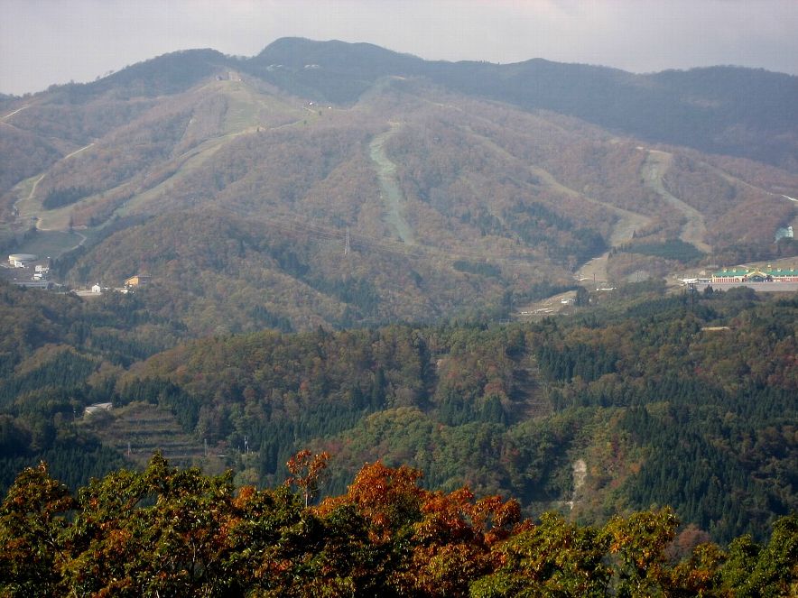 e0003910_178160.jpg