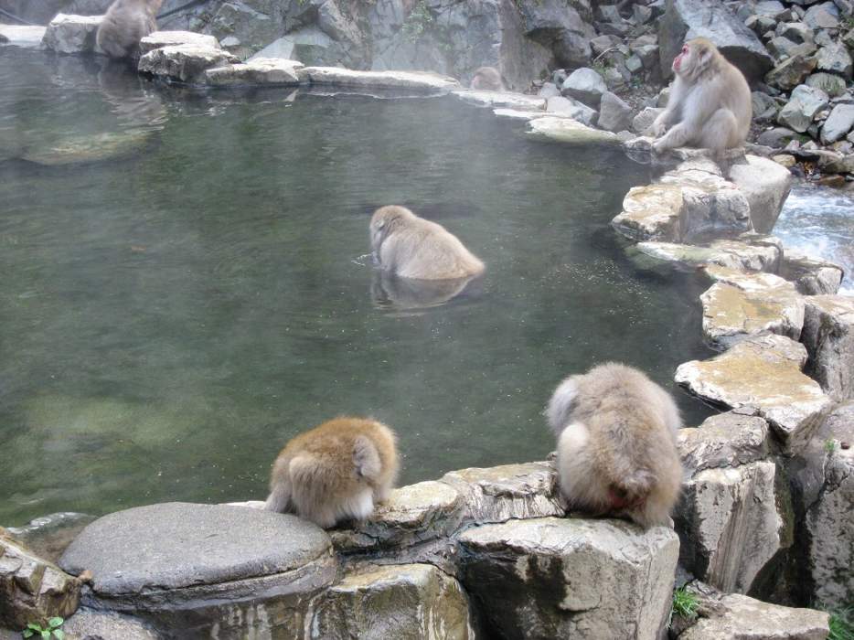 e0003910_21102630.jpg