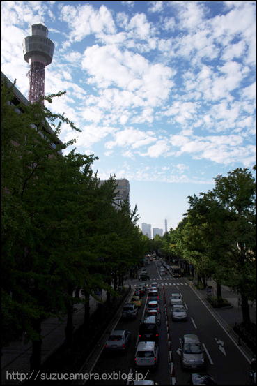 今日という日_f0100215_3205435.jpg