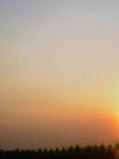 c0054118_1871211.jpg