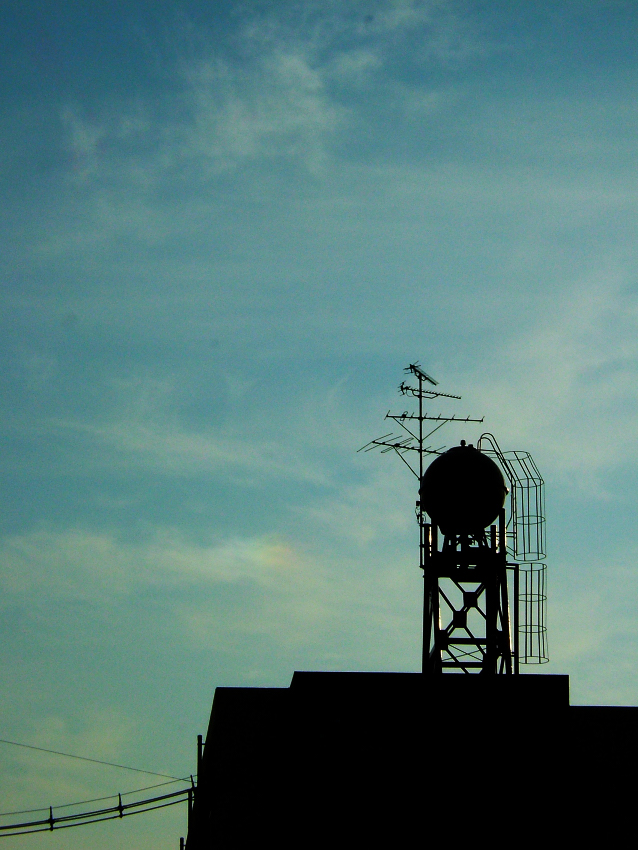 c0062418_335625.jpg