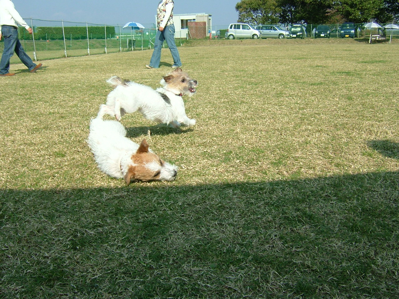 a0089120_19542034.jpg