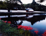 d0087325_8174733.jpg