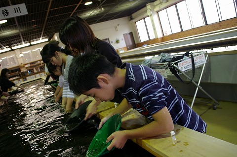 伊豆旅行： 土肥金山をゆく_a0009142_233284.jpg