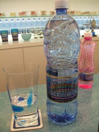 e0015343_11311323.jpg