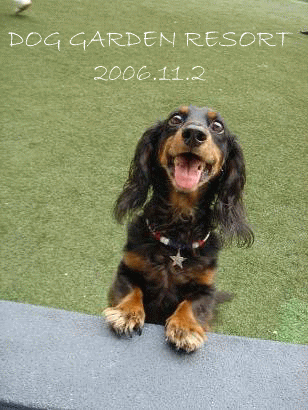 c0016745_15325767.gif