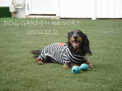 c0016745_1534488.gif