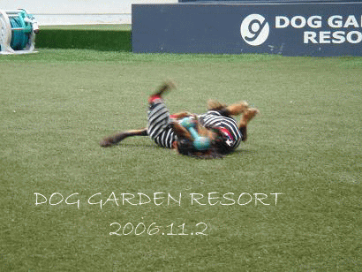 c0016745_1535656.gif