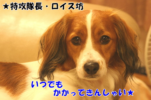 d0013149_123106.jpg