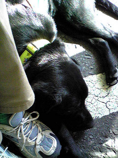 f0066962_2023111.jpg