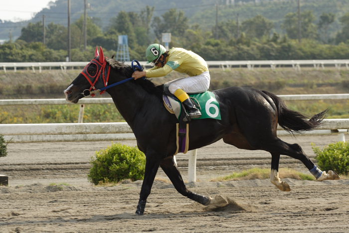 2006年10月29日（日） 高知競馬_a0077663_1126546.jpg