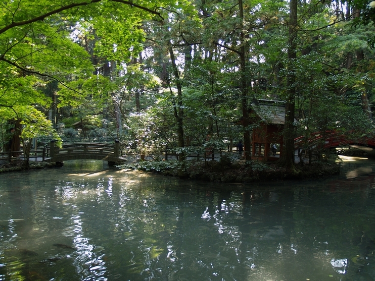 小国神社_a0078765_2235248.jpg