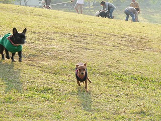 a0091865_2155489.jpg