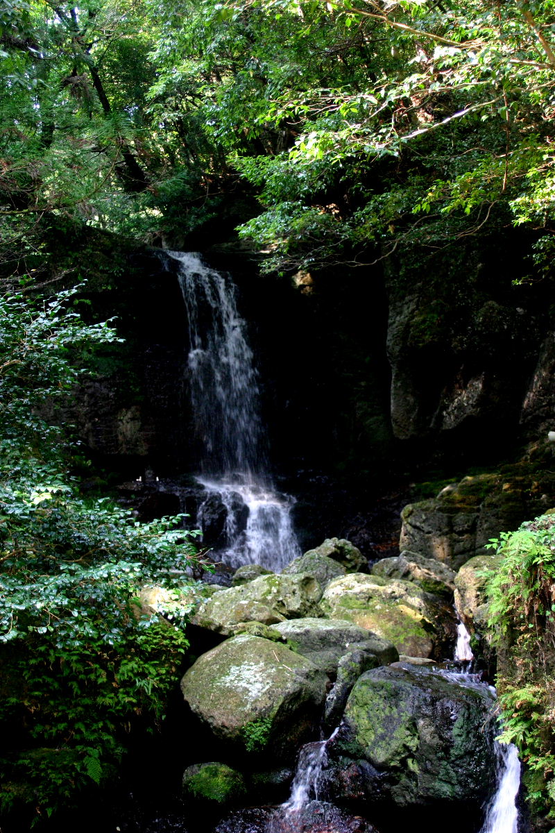 e0018678_22415246.jpg