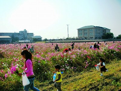 c0078480_2252553.jpg