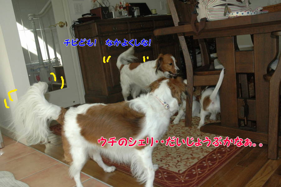 c0075585_23594520.jpg