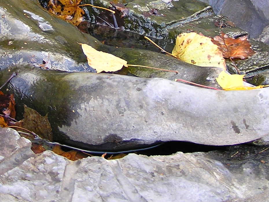 a0067991_12532152.jpg