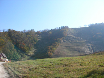 きのこ類　登山部パート1_d0062792_2191023.jpg