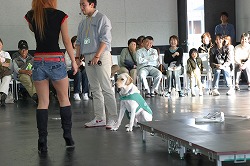 日本盲導犬総合センター_d0050503_8424979.jpg