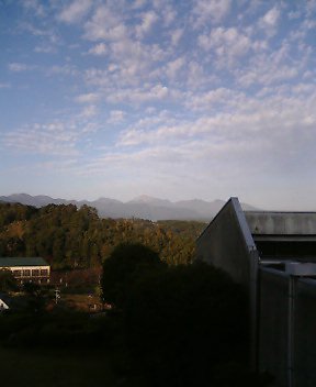 b0045709_814556.jpg