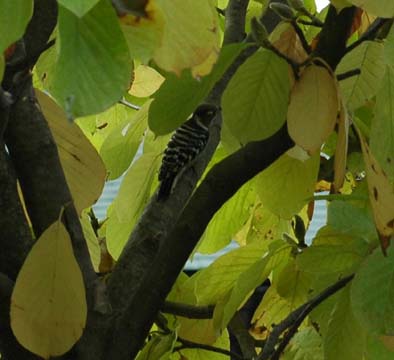 d0080118_2134419.jpg