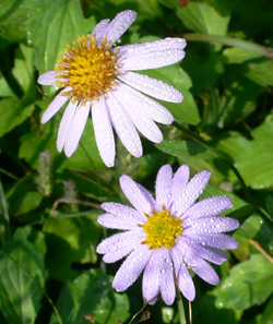 f0060424_0392481.jpg