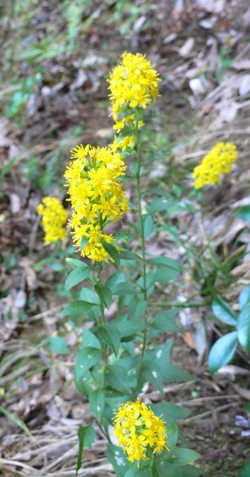 f0060424_044745.jpg