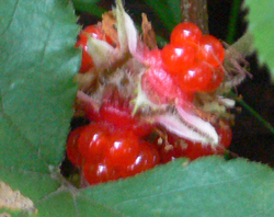 f0060424_0475180.jpg