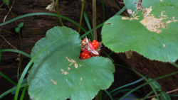 f0060424_047872.jpg