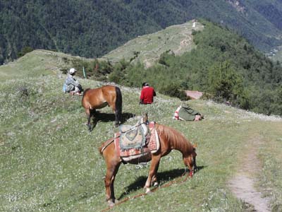a0049226_23391458.jpg