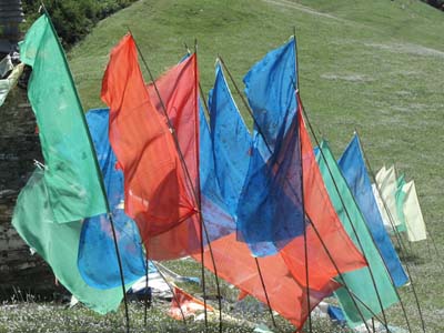 a0049226_23485270.jpg