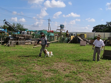 a0092032_22532475.jpg