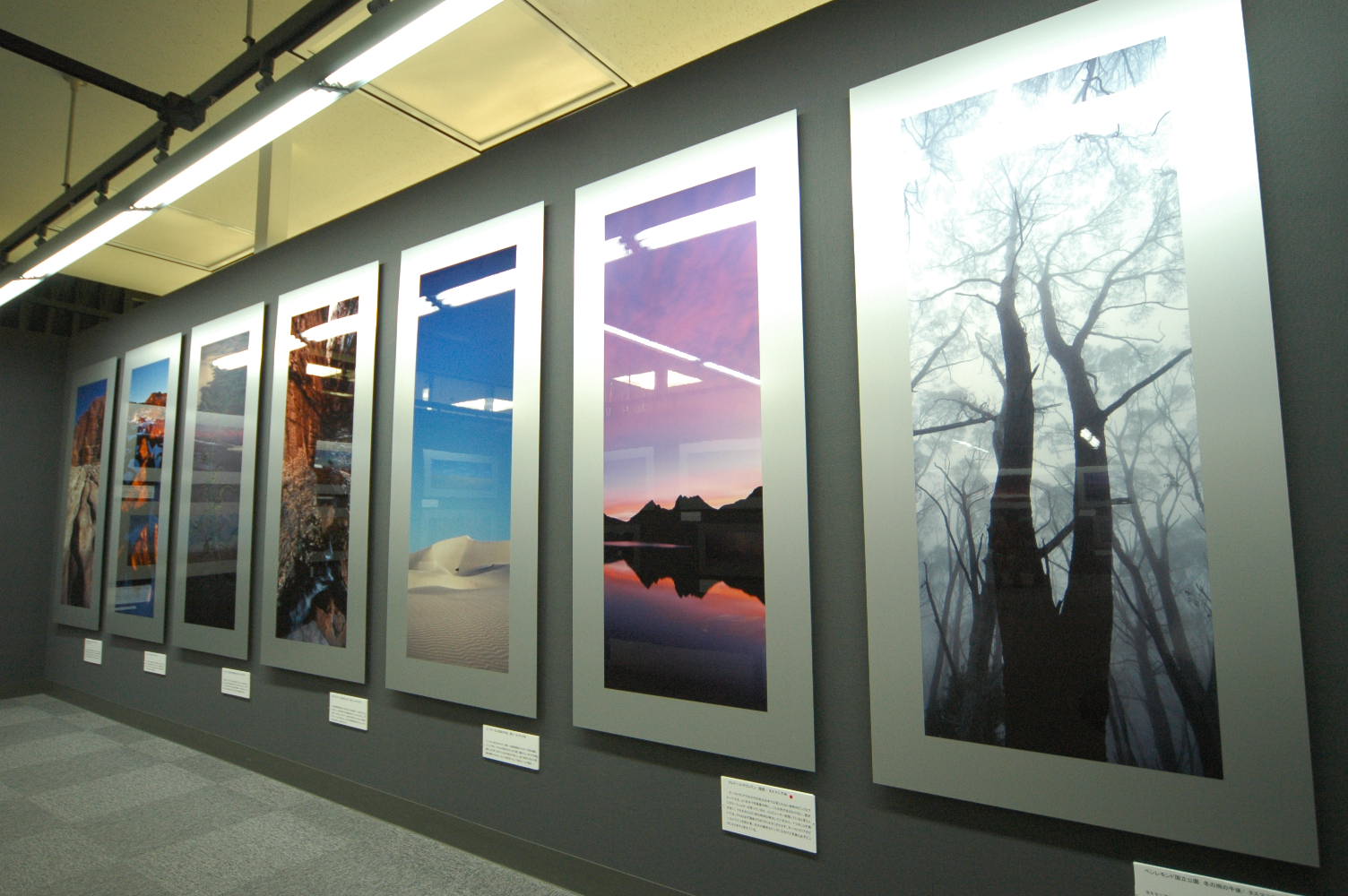 名古屋写真展_f0050534_20242098.jpg