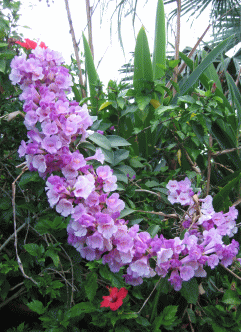 b0100637_5582558.gif