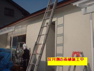 f0031037_19484055.jpg